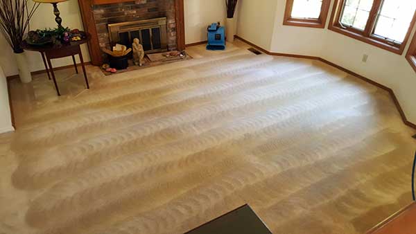 KingOfCleanCarpetCleaning_01242023B.jpg